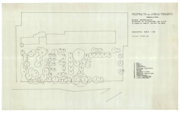 Franzato Mareno di Piave 1985 (2)