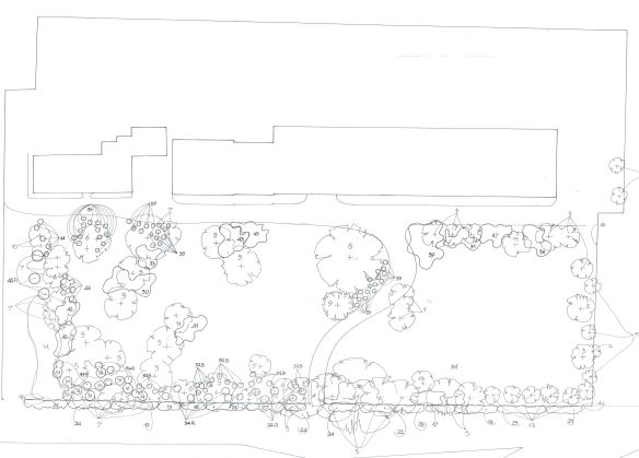 Franzato Mareno di Piave 1985 (3)-1