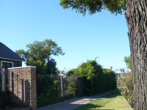 Bragard bolivia y Harwood