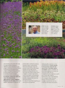 Scan_Pic0002gardenia marzo 2105