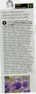 papà-repubblica-1